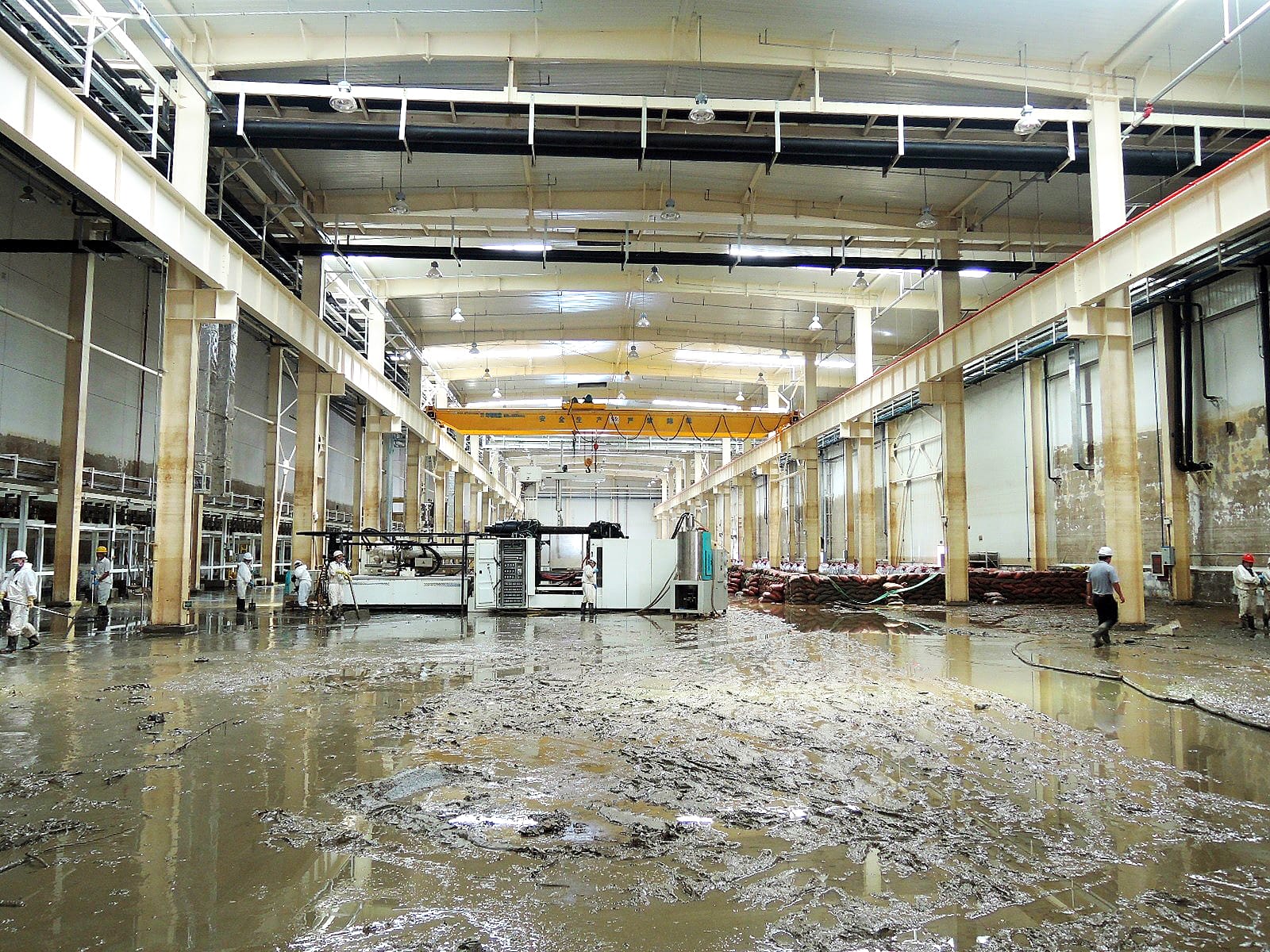 0_Wasserschaden_299-Water-decontamination-before-2017-hi-res